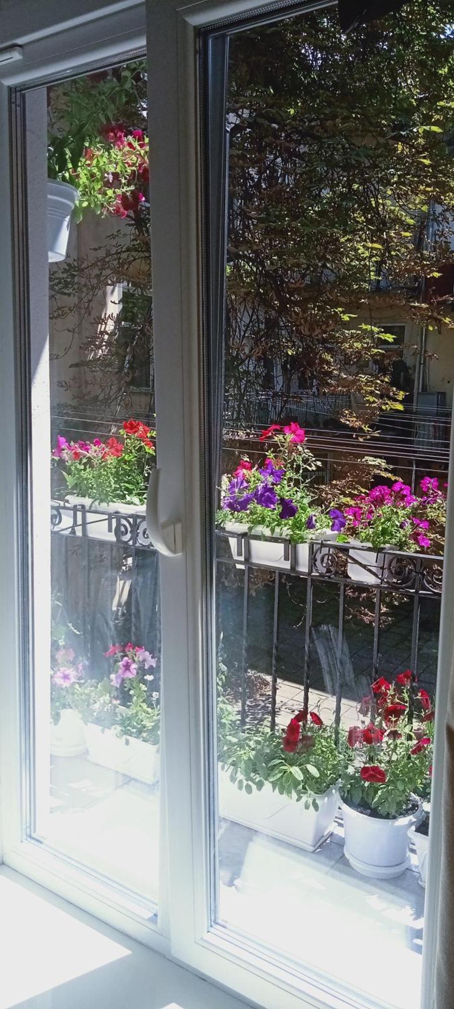 Svitla Zatyszna: Cozy Central Apartment with Balcony Near Opera Lviv Exterior photo