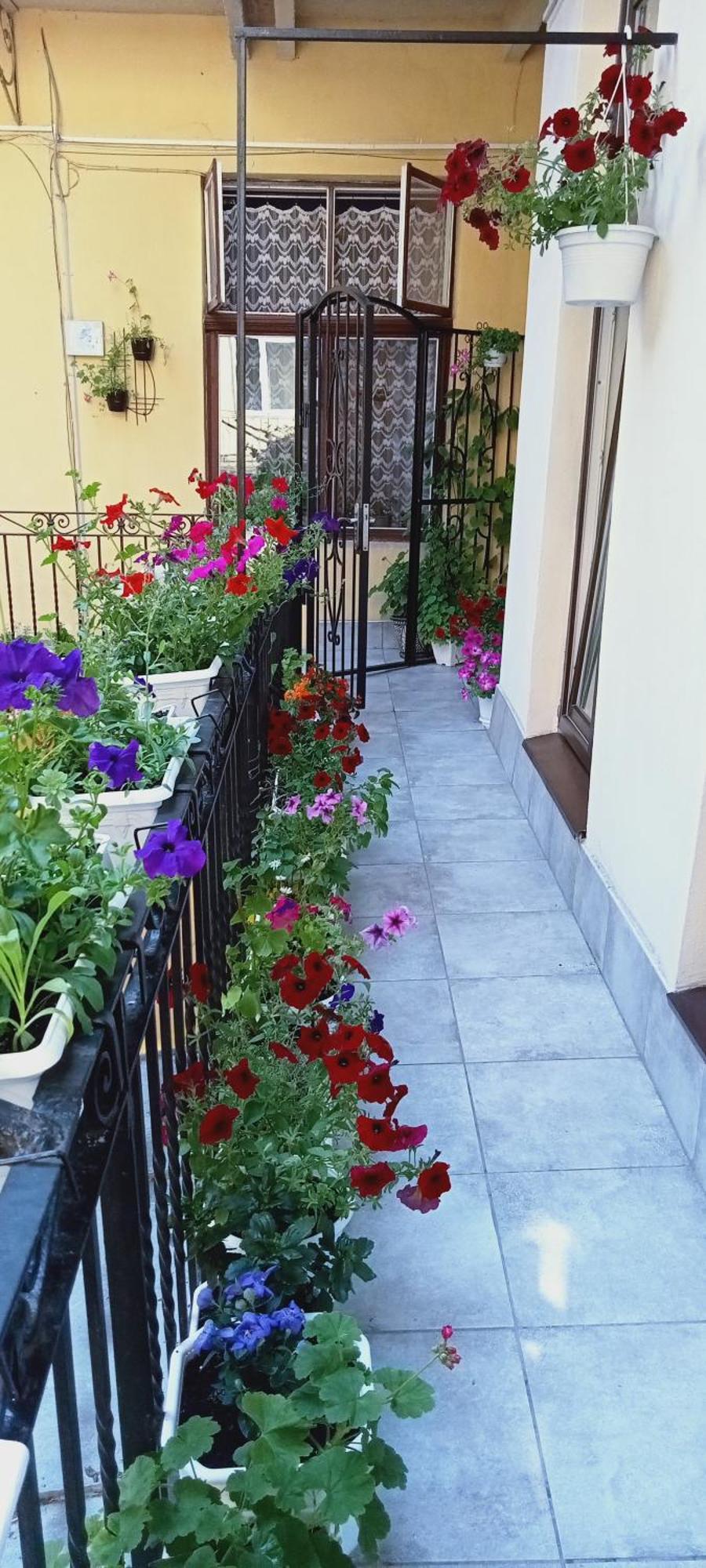Svitla Zatyszna: Cozy Central Apartment with Balcony Near Opera Lviv Exterior photo